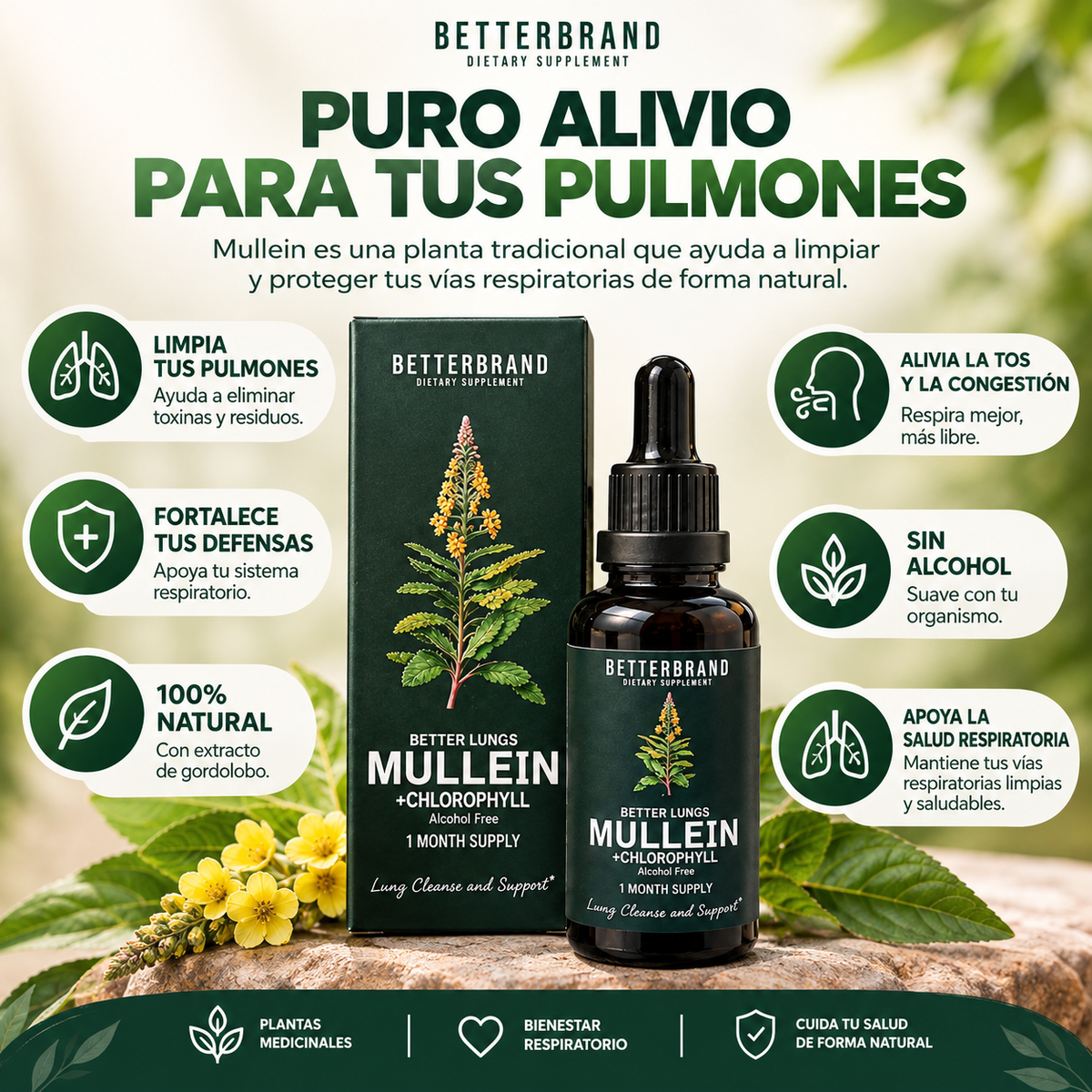 Betterbrand Mullein - Detox Pulmonar 60 ML